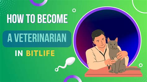 How to become a veterinarian in BitLife